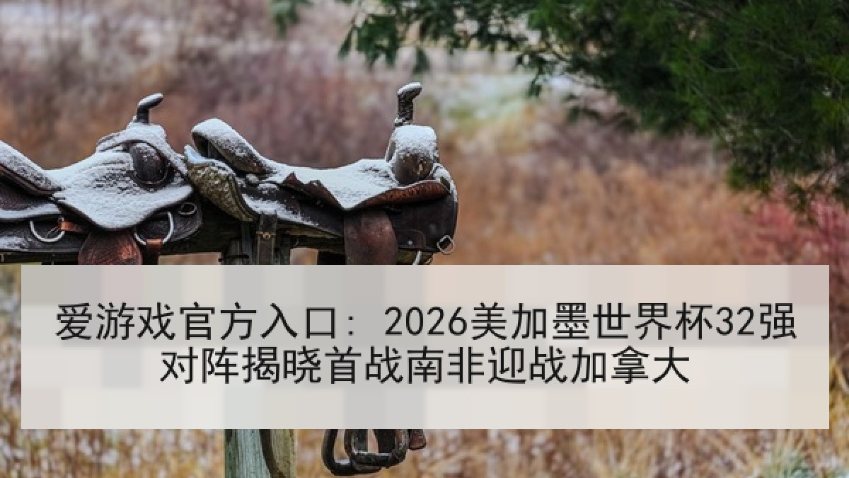 爱游戏官方入口: 2026美加墨世界杯32强对阵揭晓首战南非迎战加拿大