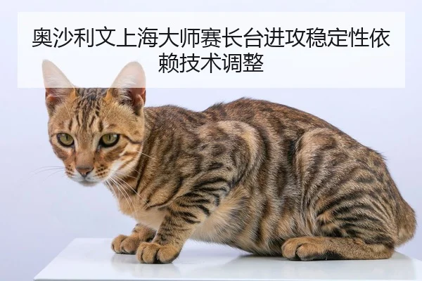 奥沙利文上海大师赛长台进攻稳定性依赖技术调整