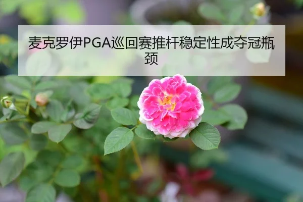 麦克罗伊PGA巡回赛推杆稳定性成夺冠瓶颈