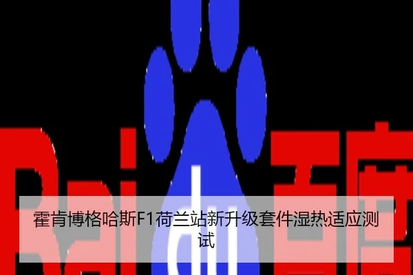 huo-ken-bo-ge-ha-si-he-lan-zhan-xin-sheng-ji-tao-jian-shi-re-shi-ying-ce-shi-2-412.jpg